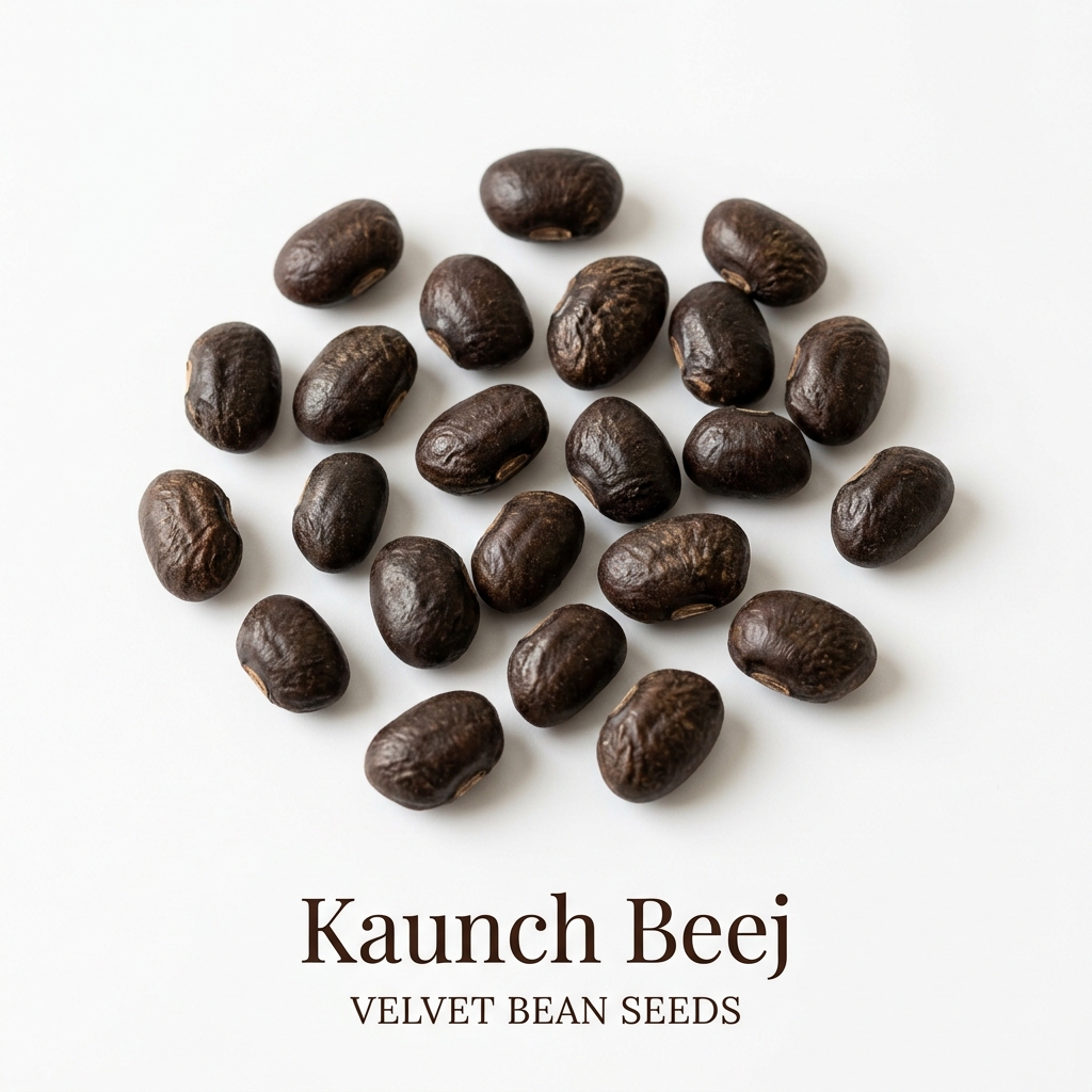 Kaunch Beej